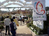 TN_04180320.JPG