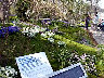 TN_04180321.JPG