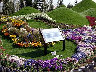 TN_04180322.JPG
