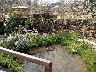 TN_04180305.JPG