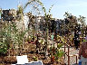 TN_04180336.JPG