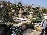 TN_04180307.JPG