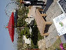 TN_04180341.JPG