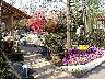 TN_04180348.JPG