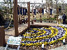 TN_04180353.JPG