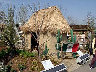 TN_04180309.JPG