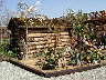 TN_04180311.JPG