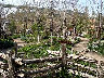 TN_04180313.JPG