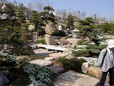 TN_04180307.JPG