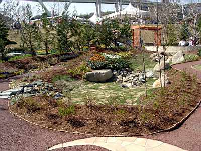TN_04180308.JPG