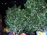 TN_04180388.JPG