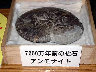 TN_04180391.JPG