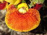 TN_04180178.JPG