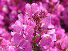TN_04180180.JPG