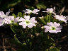 TN_04180184.JPG