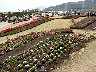 TN_04180185.JPG