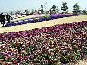TN_04180166.JPG