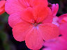 TN_04180175.JPG