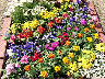 TN_04180290.JPG