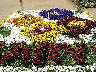 TN_04180295.JPG