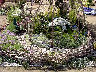 TN_04180296.JPG