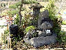 TN_04180297.JPG