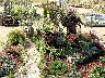 TN_04180299.JPG