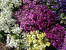 TN_04180302.JPG