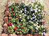 TN_04180283.JPG