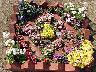 TN_04180284.JPG