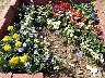 TN_04180287.JPG