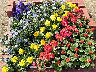 TN_04180288.JPG