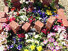 TN_04180289.JPG