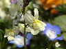 TN_04180196.JPG