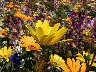 TN_04180199.JPG