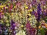 TN_04180204.JPG