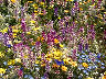 TN_04180205.JPG