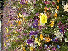 TN_04180208.JPG