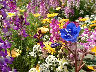 TN_04180212.JPG