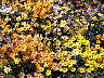 TN_04180213.JPG