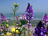 TN_04180214.JPG