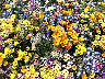 TN_04180215.JPG