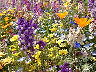 TN_04180217.JPG