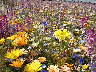 TN_04180219.JPG