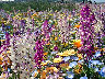 TN_04180220.JPG