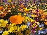 TN_04180221.JPG