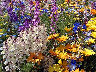 TN_04180222.JPG