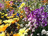 TN_04180225.JPG