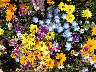 TN_04180226.JPG