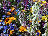 TN_04180227.JPG